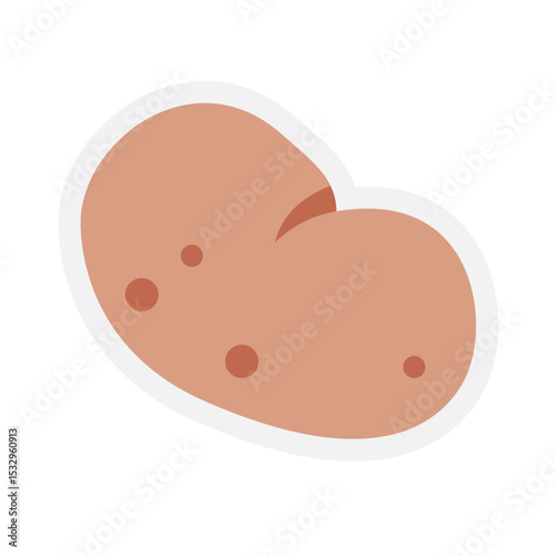 Potato