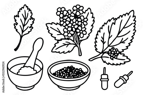 Silhouette Vector Illustration of a Mustard Mix Set Perfect for Food Packaging Design and Branding