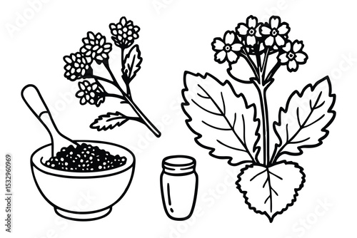 Silhouette Vector Set of Mustard Condiments and Ingredients for Culinary Design and Food Illustration Projects