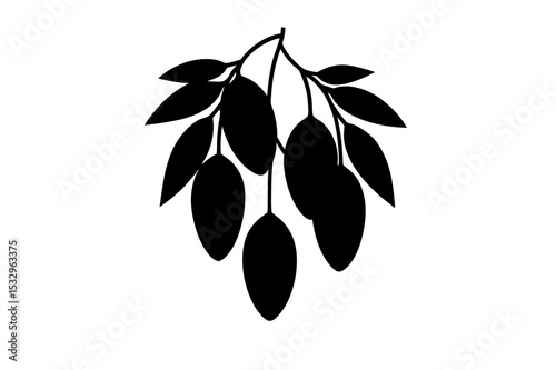 vector illustration of Mangos with leaf