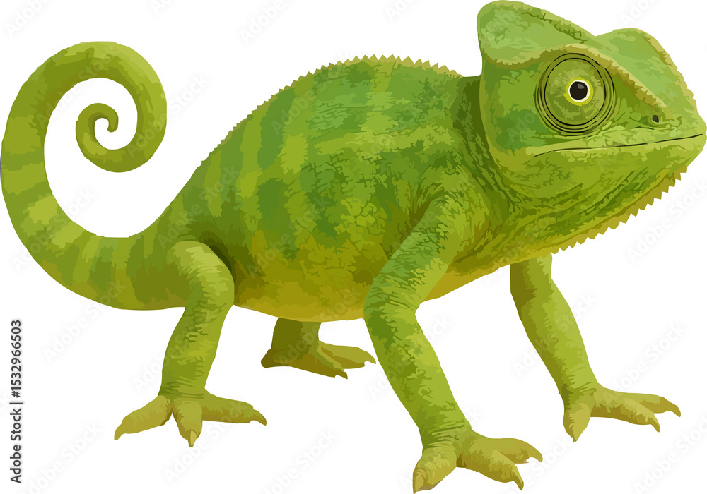 Obraz premium chameleon,