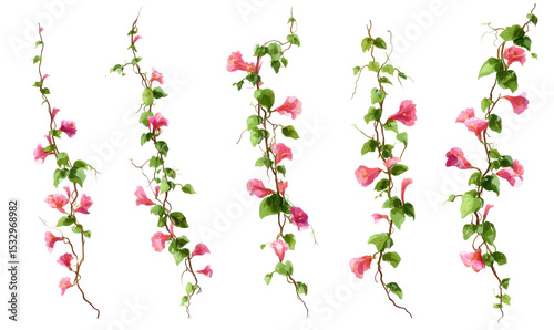 Decorative floral vines with pink blossoms and green leaves