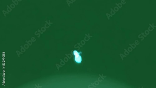 abstract geometric background, dark blue with neon light, geometric patterns for design