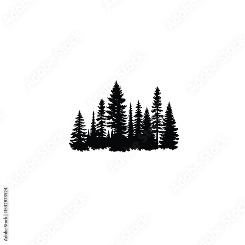 A dense forest with tall pine trees in silhouette on white background