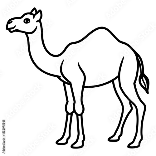 Desert Majesty Camel Vector Silhouette