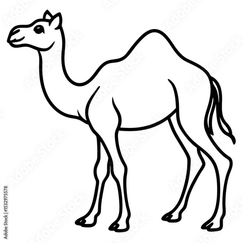 Desert Majesty Camel Vector Silhouette