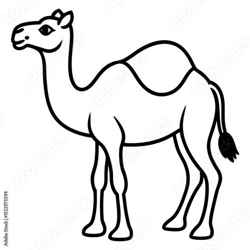 Desert Majesty Camel Vector Silhouette