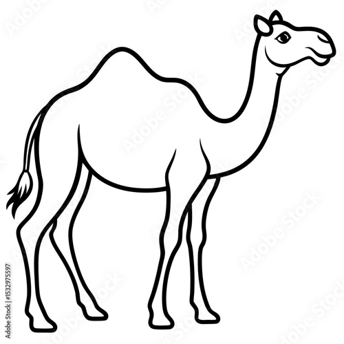 Desert Majesty Camel Vector Silhouette
