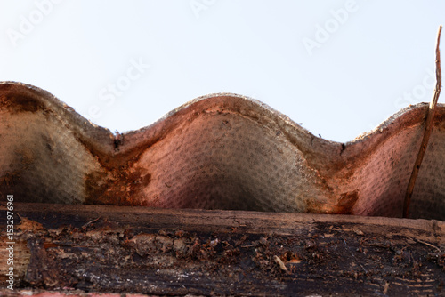 A closeup of an asbestos corrugated sheet lying on a roof of a garden house. The dangerous material should be safely removed by a certified remover.