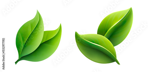3D Three Green Leaves Isolated on White on a Transparent Background