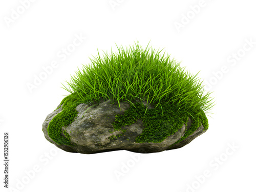 Natural mossy rock with rich green texture, isolated on transparent background, perfect for nature, fantasy, game design, or eco-themed digital artwork.