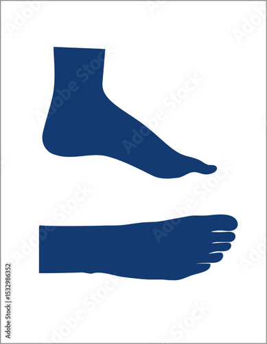 Human foot black silhouette side and top view.
