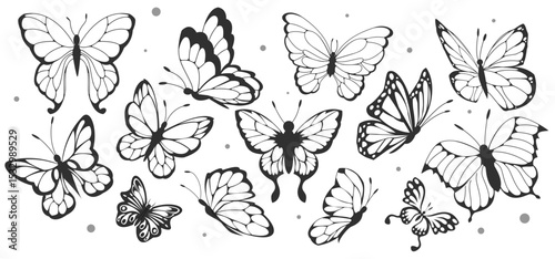 Silhouettes of butterflies. Set of minimalistic icons with beautiful flying butterflies or gorgeous insects with ornate wings. Black and white vector illustration collection isolated on background
