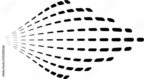 Dashed lines with inflated sections radiating symmetrically from a central point.