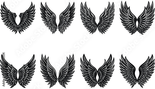 Collection of eight Unique Black and White Wing Illustrations