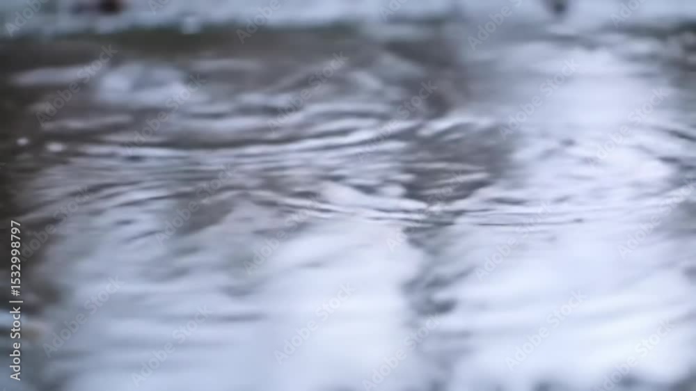 Rippling rain drops on puddle surface captured in slow motion for tranquil atmosphere and calming effect Rippling rain drops on puddle surface captured in slow motion for tranquil atmosphere and calming effect