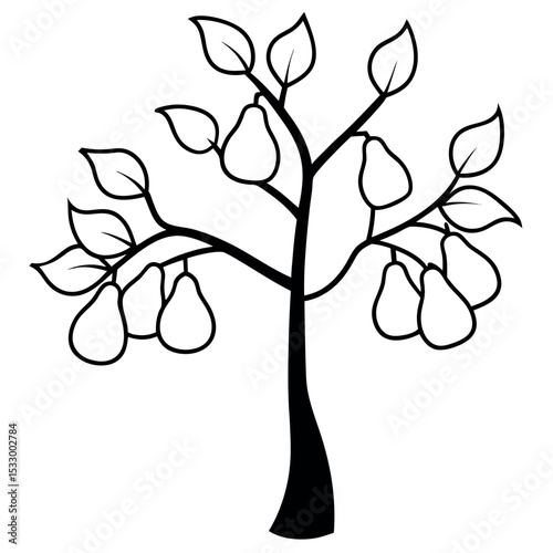 Black and White Pear Tree Side View Asymmetrical Leaf Growth
