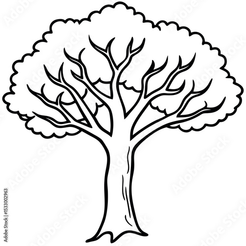 Black and White Pen Sketch Sycamore Tree Strong Trunk