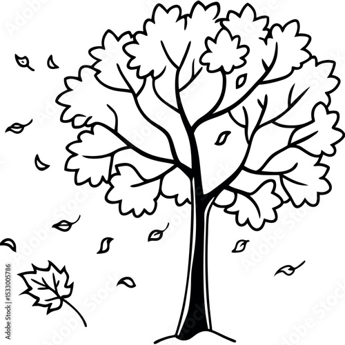 Black and White Sycamore Tree Autumn Leaf Fall Side View