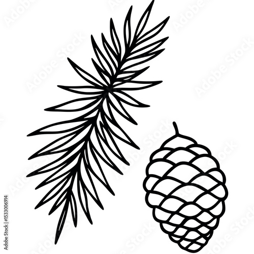 Black Ink Drawing Spruce Needles and Cone Botanical Style