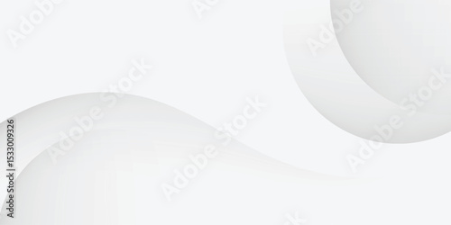 Abstract minimalist white and gray curve modern background. texture white pattern. vector illustration