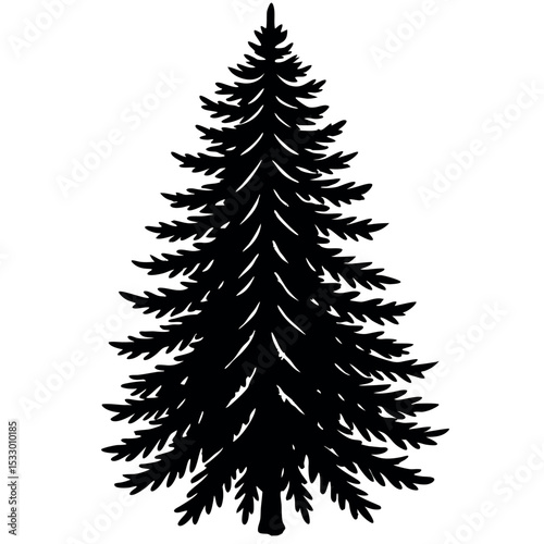 Black Silhouette Dense Spruce Tree Detailed Needles Sketch