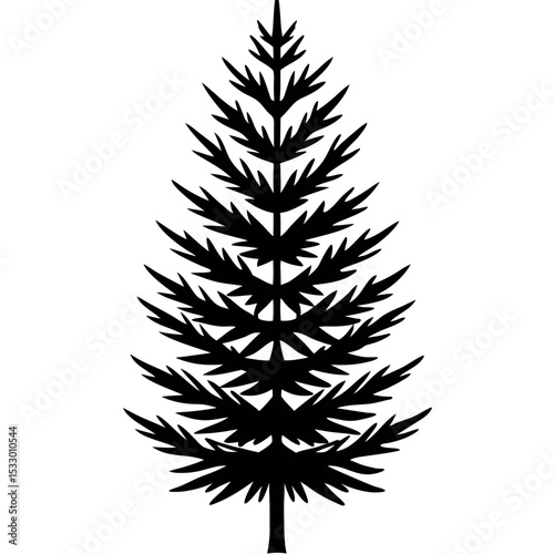 Black Silhouette Dense Spruce Tree Sketch Detailed Needles