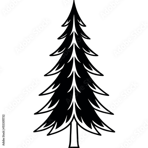 Black Silhouette Tall Spruce Tree Pointed Crown Needle Foliage