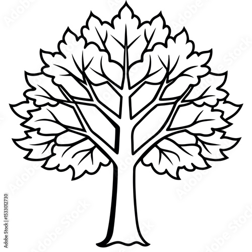 Hand Drawn Black and White Sycamore Tree Vector Illustration
