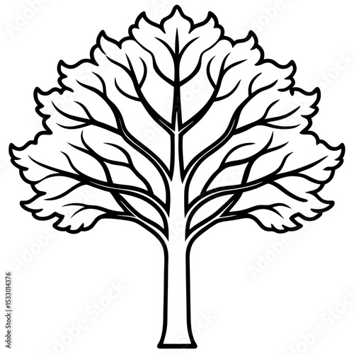 Simplified Black and White Vector Sycamore Tree Illustration 1