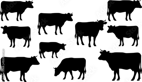 set of cow vector silhouettes, set of different style cow, Dairy farm cow, Cow Grazing On Meadow, vector silhouettes	