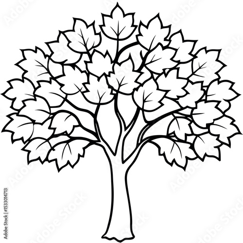 Top Down Black and White Sycamore Tree Drawing treetop view