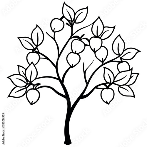 Black and White Drawing Peach Tree Blossoms Springtime Fruit Branch