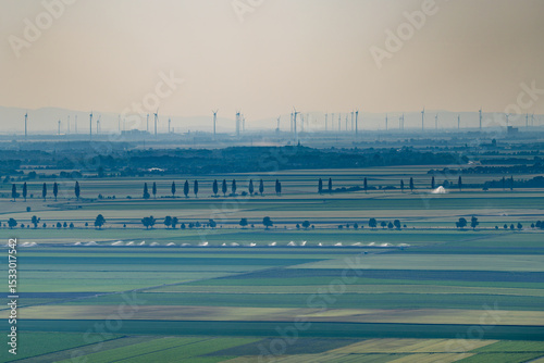 Windmills in the summer fields