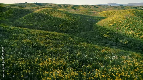 Wallpaper Mural Rolling Hills Covered in Wildflowers Torontodigital.ca