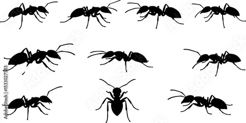 Insect Insects ant ants emmet pismire banner Vector, vector set silhouette
