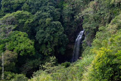 Waterfall cascading down rocky cliff in lush green tropical rainforest