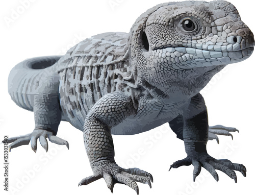 Dragon lizard,