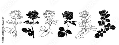 Sketch collection, silhouettes of rose flowers. Simple botanical elements. Vector graphics.