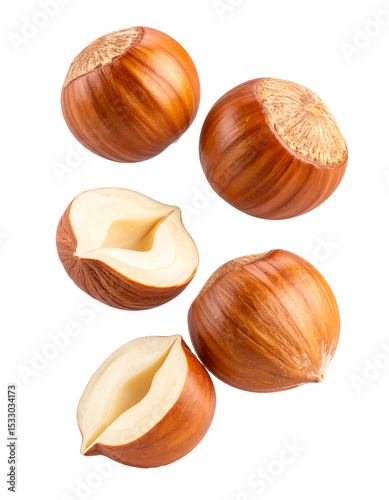 hazelnuts