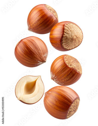 Wallpaper Mural hazelnuts Torontodigital.ca