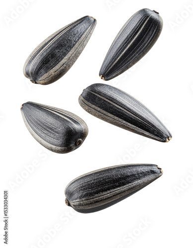 Wallpaper Mural sunflower seeds Torontodigital.ca