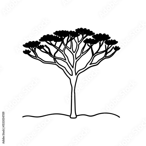 Black Line Art Acacia Tree Dry Plain Habitat black and white