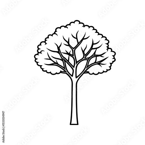 Tall Ash Tree Black and White Line Drawing Simple Tree Illustration