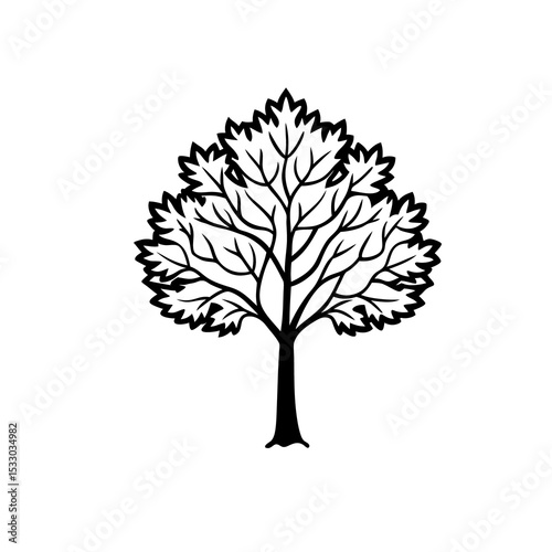 Black and White Drawing of Ash Tree with Layered Leaves