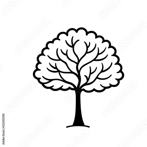 Black Outline Ash Tree Simple Design Illustration tree illustration