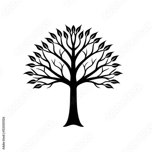 Black Silhouette Line Art Ash Tree with Leaves tree silhouette