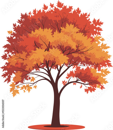 Beautiful autumn tree with vibrant orange and yellow leaves, isolated on a clean background, representing the fall season, nature, and the changing of seasons for your creative project.