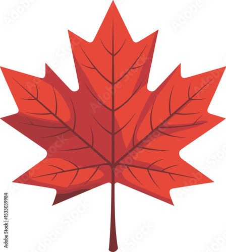 Illustration of a vibrant red maple leaf with detailed veins, perfect for fall-themed designs, nature, autumn, seasonal background, and natural beauty concepts on Adobe Stock.