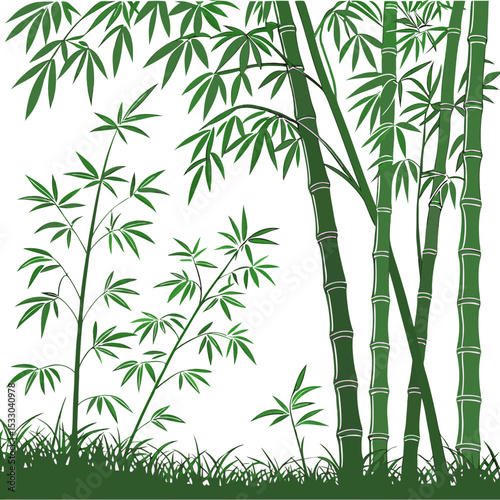 bamboo background vector